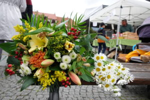 DSC02034-kopie.jpg